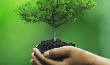 eco-friendly-1 eco-friendly-1