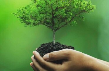 eco-friendly-1 eco-friendly-1