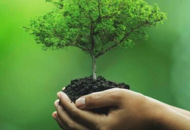 eco-friendly-1 eco-friendly-1