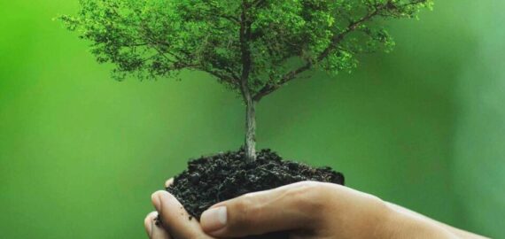 eco-friendly-1